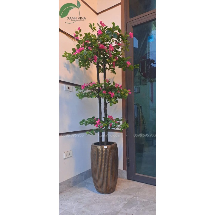 Cây hoa đỗ quyên giả trang trí